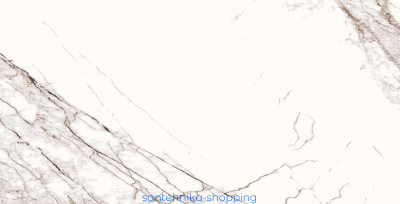 Плитка керамогранитная AZARIO MILAN WHITE 60х120 Carving (E4010821120C)